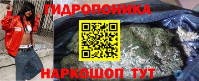 стаф Заводоуковск