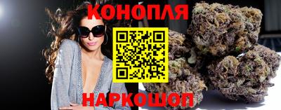 стаф Заводоуковск