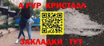 стаф Заводоуковск